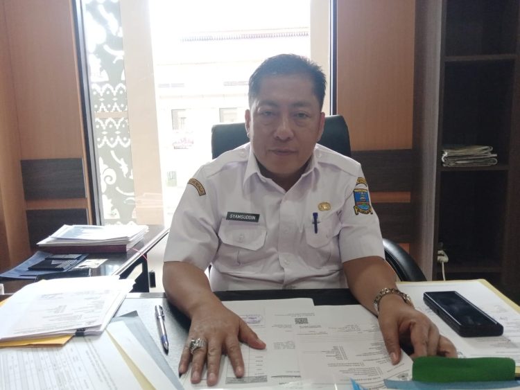 Kepala DPM PTSP Kabupaten Serang Syamsudin.dok (Nurlan)