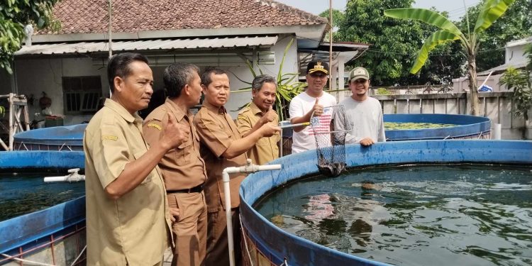 Jajaran Pemerintah Kecamatan Carenang Tinjau BUMDes Maju Bersama Teras. Dok (Nurlan)