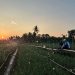 Melalui listrik PLN, produktivitas dan efisiensi para petani bawang di Desa Telle, Kabupaten Bone, Sulawesi Selatan semakin meningkat. Kehadiran energi listrik yang andal dan terjangkau berdampak positif bagi daya beli masyarakat dan pertumbuhan ekonomi nasional. Dok. (Ist)