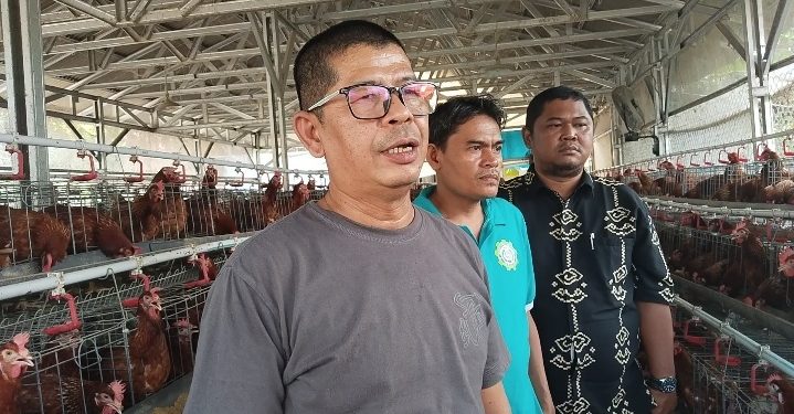 Ketua BUMDes Kiat Berbenah Ismail dan Pengurus beserta Sekdes Kragilan Elzan usai memanen telur di peternakan. Dok (Nurlan)