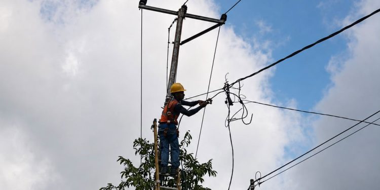 Petugas PLN tengah melakukan perbaikan jaringan tegangan rendah (JTR) yang terdampak gempa bumi di Desa Welamosa, Kecamatan Wewaria, Kabupaten Ende, Nusa Tenggara Timur (NTT). Dok. (Ist)