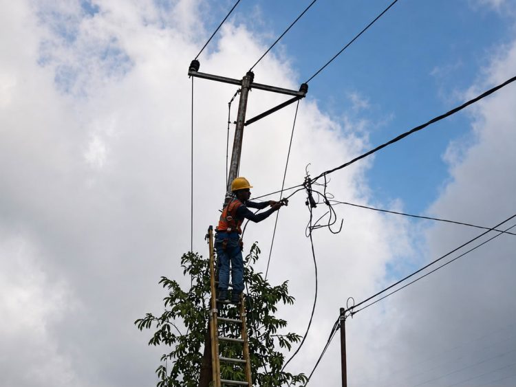 Petugas PLN tengah melakukan perbaikan jaringan tegangan rendah (JTR) yang terdampak gempa bumi di Desa Welamosa, Kecamatan Wewaria, Kabupaten Ende, Nusa Tenggara Timur (NTT). Dok. (Ist)