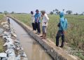 Kepala Bidang Prasarana Pertanian monitoring rehabilitasi jaringan irigasi tersier di wilayah kecamatan pontang. Dok. (Ist)