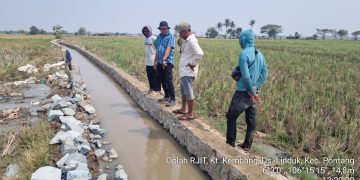 Kepala Bidang Prasarana Pertanian monitoring rehabilitasi jaringan irigasi tersier di wilayah kecamatan pontang. Dok. (Ist)