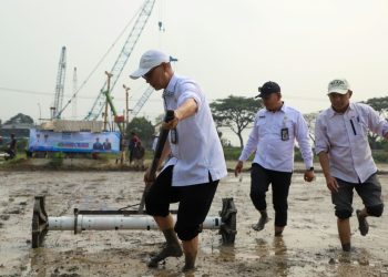 DKPP Kabupaten Serang menanam padi 500 hektar dan vaksinasi hewan dirangkaikan dengan HUT Kabupaten Serang. Dok. (Ist)