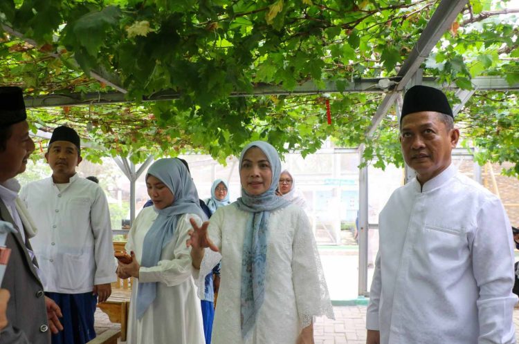 Bupati Serang Ratu Rachmatuzakiyah dan Wakil Bupati Serang Najib Hamas meninjau Agro Eduwisata di Ponpes Al Markaz Waringin Kurung. Dok. (Ist)