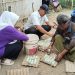 Pengelola Bumdes sedang memanen telur hasil budidaya bebek petelur. Dok (Nurlan)